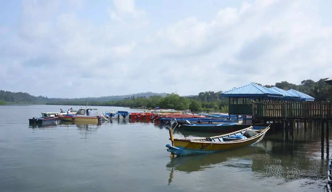 Baratang Island